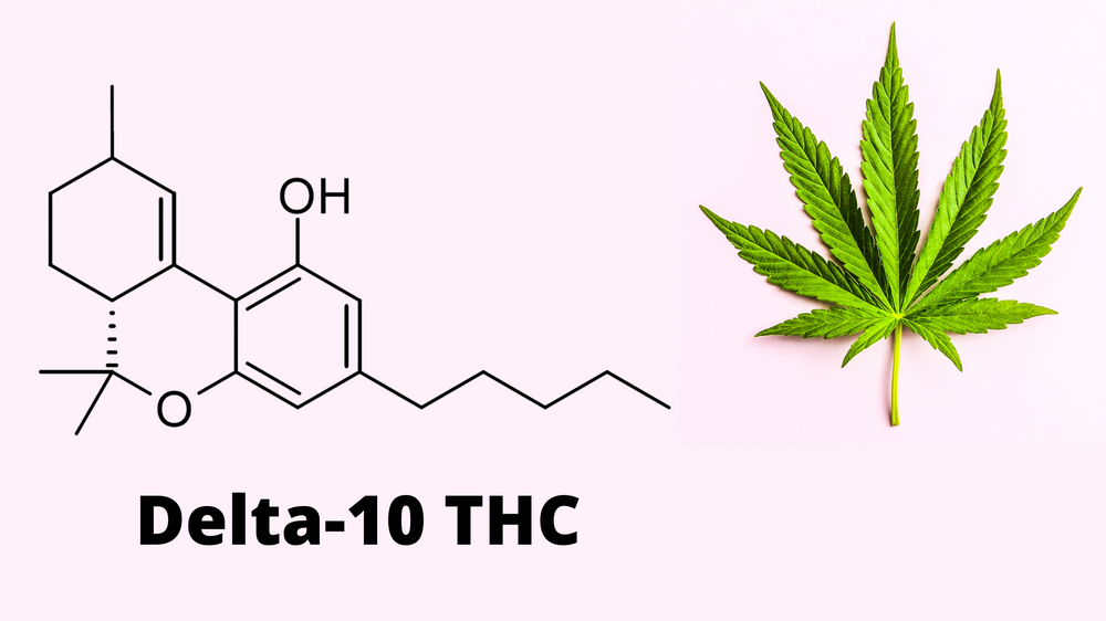 what-is-delta-10-thc