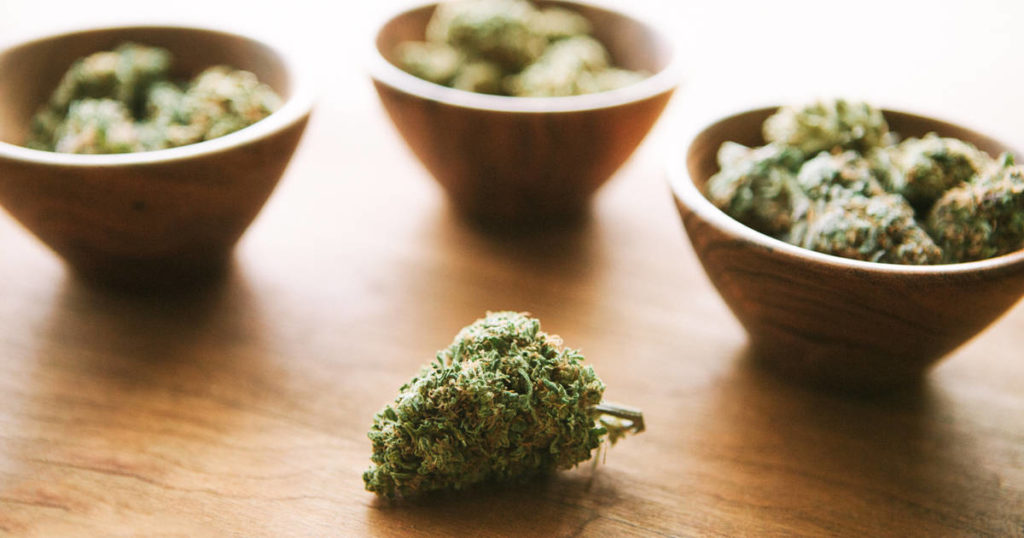 What Is THC-JD - Slyng