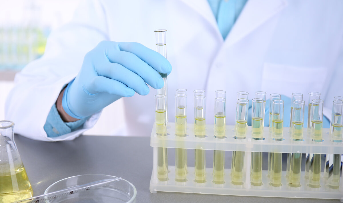 Does Synthetic Urine Work for Lab Tests?